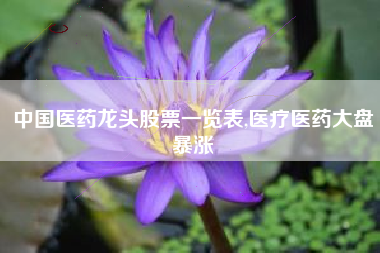 中国医药龙头股票一览表,医疗医药大盘暴涨