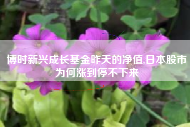 博时新兴成长基金昨天的净值,日本股市为何涨到停不下来