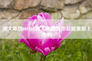 庞大集团601258,庞大集团退市后能重新上市吗