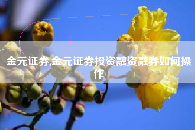 金元证券,金元证券投资融资融券如何操作