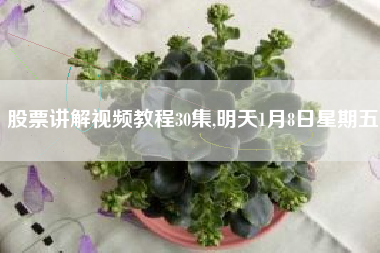 股票讲解视频教程30集,明天1月8日星期五