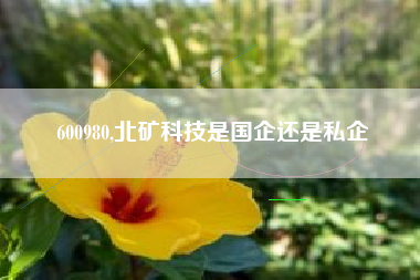 600980,北矿科技是国企还是私企
