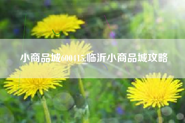 小商品城600415,临沂小商品城攻略