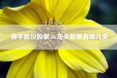 神宇股份股票,5G龙头股票有哪几支
