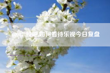 600074股吧,如何看待乐视今日复盘