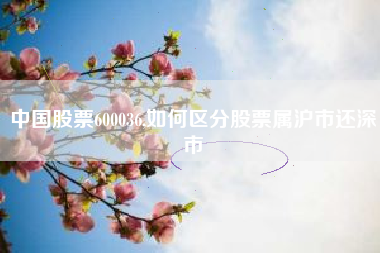 中国股票600036,如何区分股票属沪市还深市