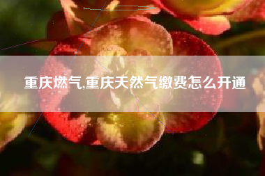 重庆燃气,重庆天然气缴费怎么开通