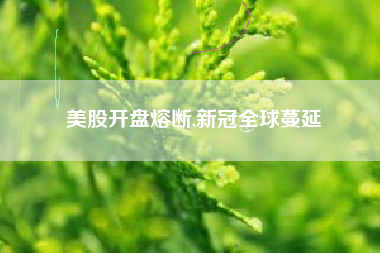 美股开盘熔断,新冠全球蔓延