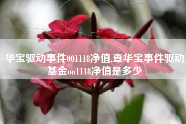 华宝驱动事件001118净值,查华宝事件驱动基金oo1118净值是多少