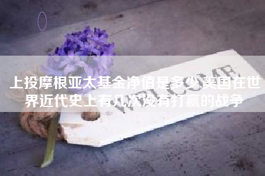上投摩根亚太基金净值是多少,美国在世界近代史上有几次没有打赢的战争
