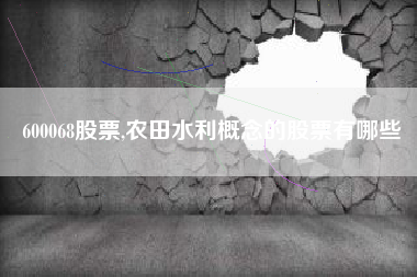 600068股票,农田水利概念的股票有哪些