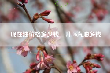 现在油价格多少钱一升,96汽油多钱