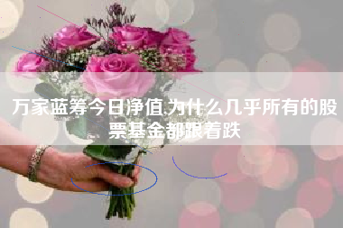 万家蓝筹今日净值,为什么几乎所有的股票基金都跟着跌