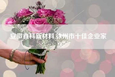 安徽鑫科新材料,徐州市十佳企业家