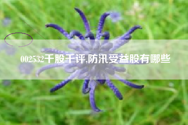 002532千股千评,防汛受益股有哪些