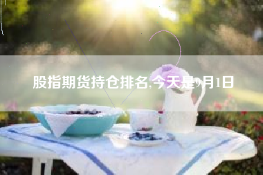 股指期货持仓排名,今天是9月1日