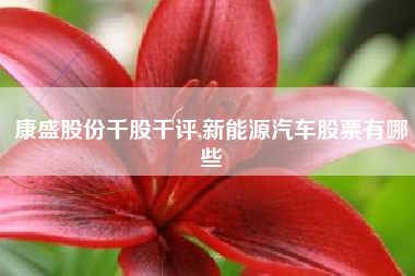 康盛股份千股千评,新能源汽车股票有哪些