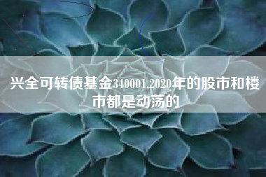 兴全可转债基金340001,2020年的股市和楼市都是动荡的