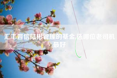 汇丰晋信陆彬管理的基金,选哪位老司机最好