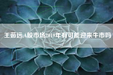 王茹远,A股市场2019年有可能迎来牛市吗