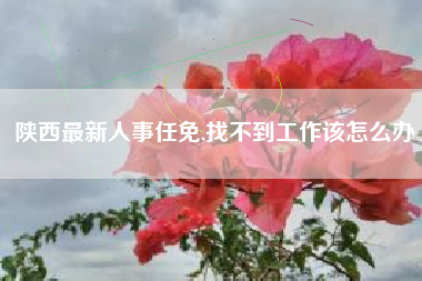 陕西最新人事任免,找不到工作该怎么办