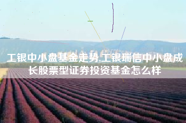 工银中小盘基金走势,工银瑞信中小盘成长股票型证券投资基金怎么样