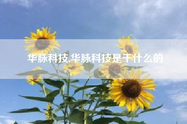 华脉科技,华脉科技是干什么的