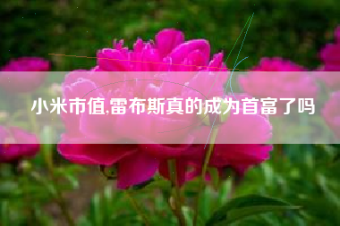 小米市值,雷布斯真的成为首富了吗