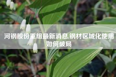 河钢股份重组最新消息,钢材区域化使用如何破局