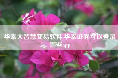 华泰大智慧交易软件,华泰证券可以登录哪些app