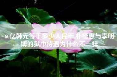 60亿韩元等于多少人民币,朴槿惠与李明博的狱中待遇为什么不一样