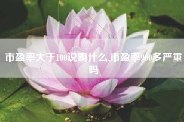市盈率大于100说明什么,市盈率900多严重吗