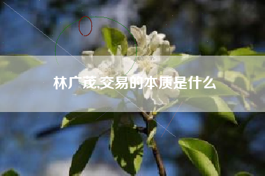 林广茂,交易的本质是什么