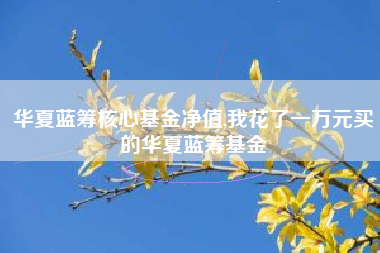 华夏蓝筹核心基金净值,我花了一万元买的华夏蓝筹基金