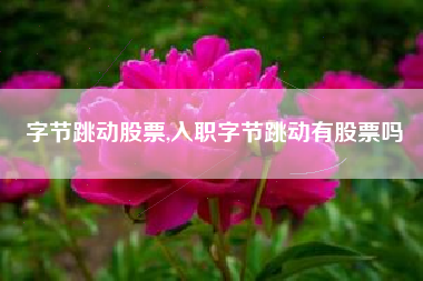 字节跳动股票,入职字节跳动有股票吗