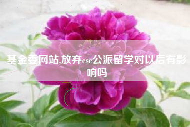 基金委网站,放弃csc公派留学对以后有影响吗