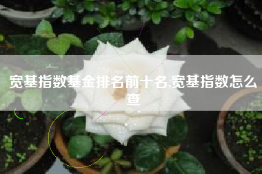 宽基指数基金排名前十名,宽基指数怎么查