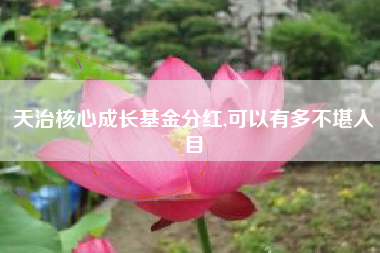 天治核心成长基金分红,可以有多不堪入目