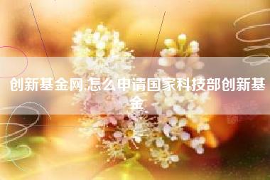 创新基金网,怎么申请国家科技部创新基金