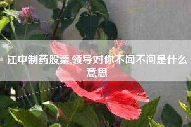 江中制药股票,领导对你不闻不问是什么意思