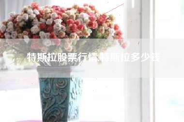 特斯拉股票行情,特斯拉多少钱