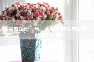 嘉实超短债一万一天收益,有没有比较好的基金推荐