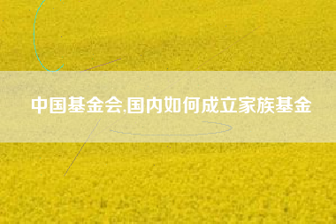 中国基金会,国内如何成立家族基金