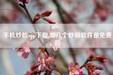 手机炒股app下载,哪几个炒股软件是免费的
