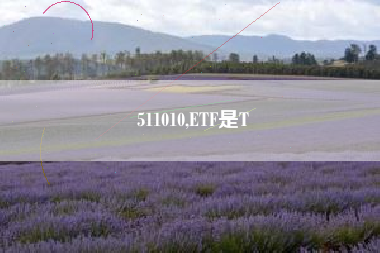 511010,ETF是T
