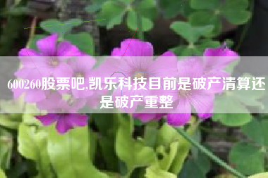 600260股票吧,凯乐科技目前是破产清算还是破产重整