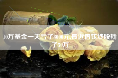 10万基金一天亏了8000元,最近借钱炒股输了30万