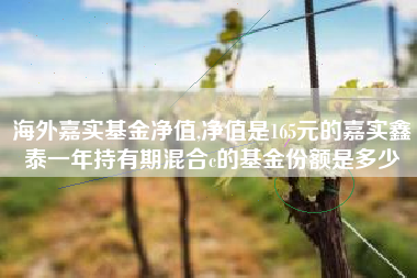 海外嘉实基金净值,净值是165元的嘉实鑫泰一年持有期混合c的基金份额是多少