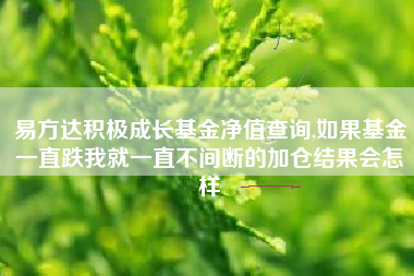 易方达积极成长基金净值查询,如果基金一直跌我就一直不间断的加仓结果会怎样