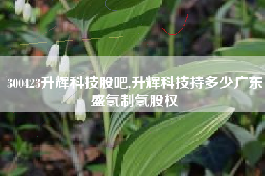 300423升辉科技股吧,升辉科技持多少广东盛氢制氢股权